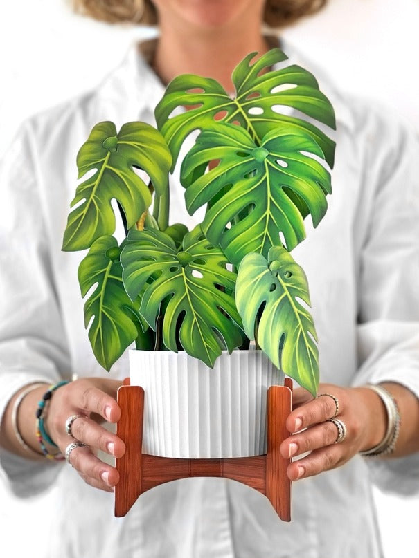 Monstera Plant (Pop-Up Greeting Card by FreshCut Paper LLC)