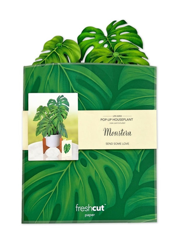 Monstera Plant (Pop-Up Greeting Card by FreshCut Paper LLC)