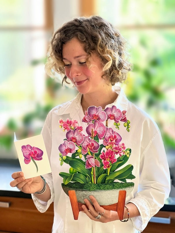 Orchid Oasis (Pop-Up Greeting Cards by FreshCut Paper LLC)