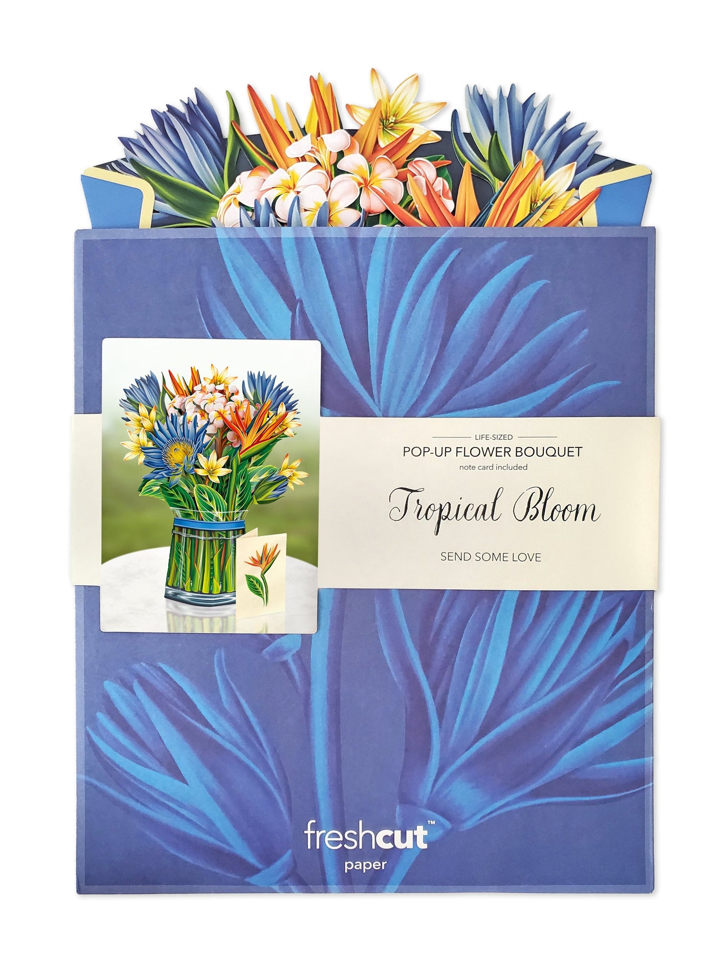 Tropical Bloom (Pop-Up Greeting Card by FreshCut Paper LLC)